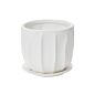 Design Shop Draken Pot with Saucer 7.5"x 6.25"