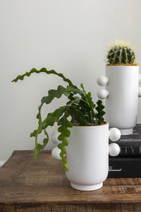 Design Shop White Farley Collection Pot, 6.75" X 6.25".
