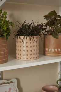 Design Shop Abound Collection