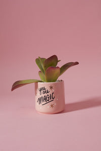 Design Shop Sweet Phrase Collection