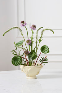 Design Shop Bianca Compote 6.5"x 3.75"
