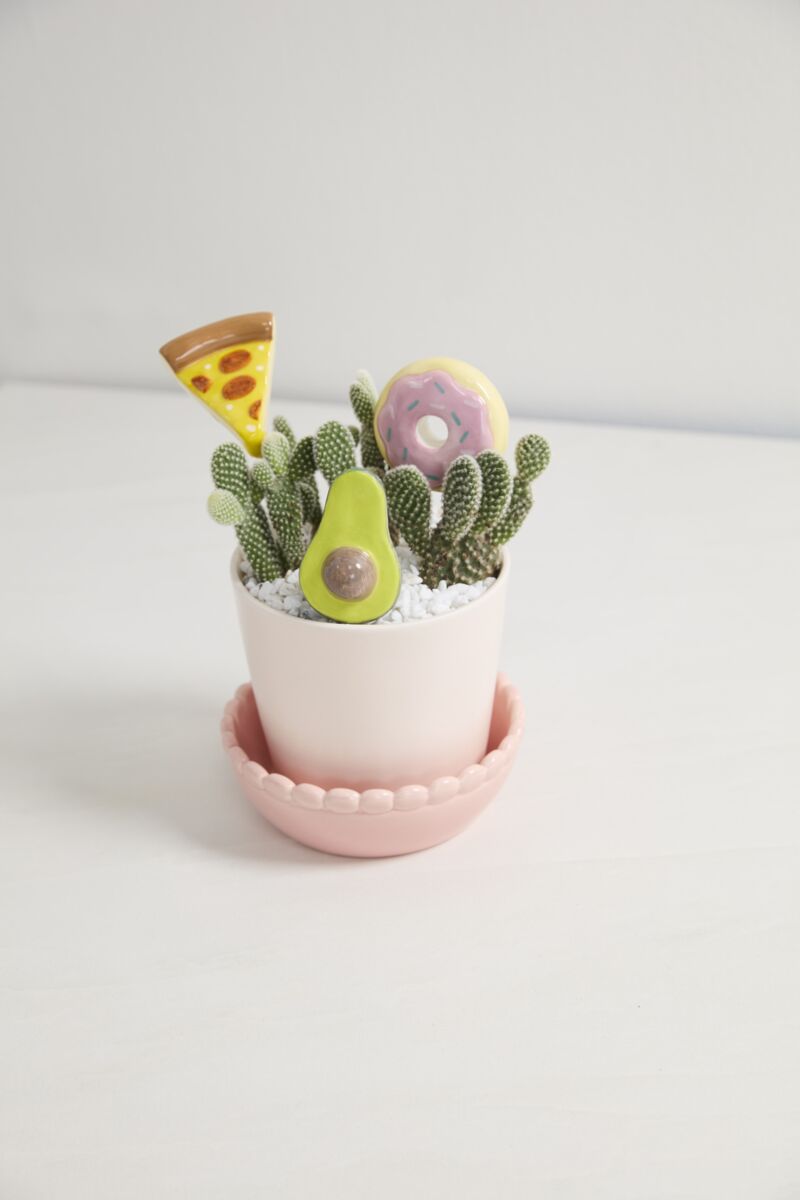 Design Shop Yummy Plant Sticks Set of 3 - 5"