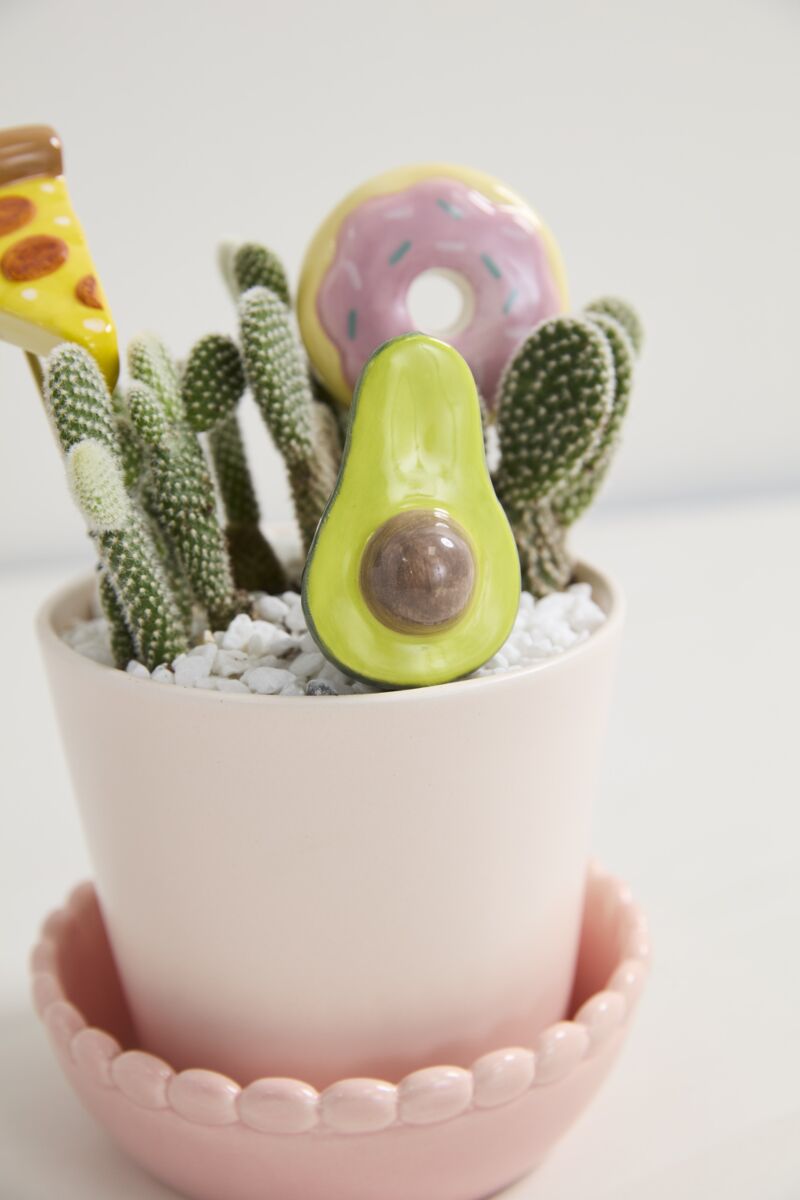Design Shop Yummy Plant Sticks Set of 3 - 5"