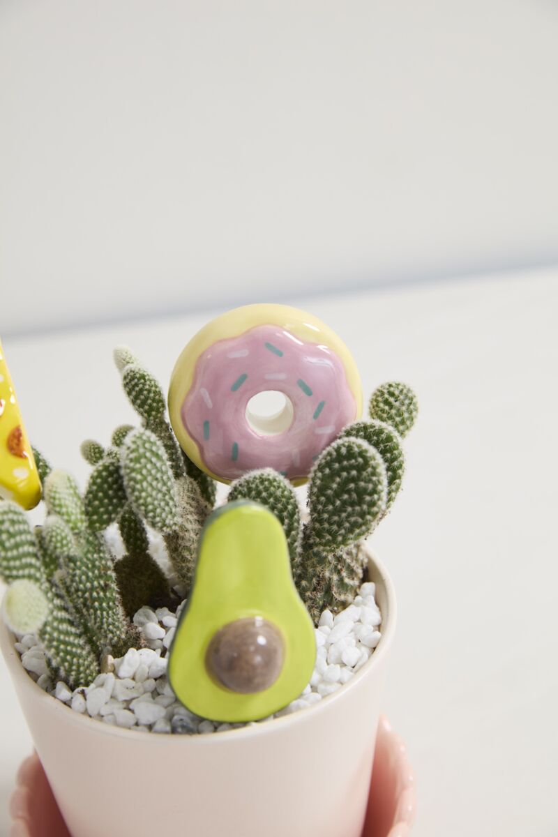 Design Shop Yummy Plant Sticks Set of 3 - 5"