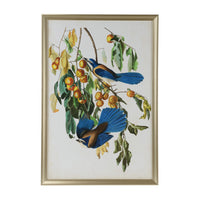 Chelsea House Audubon Blue Jay II