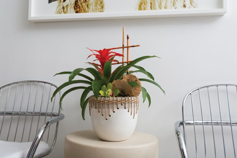 Design Shop White Hideaway Pot, 8.75" X 7.5".