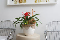 Design Shop White Hideaway Pot, 8.75" X 7.5".