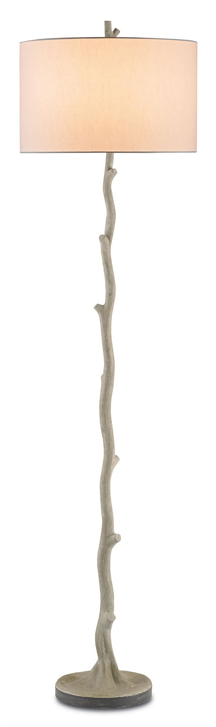 Currey and Company One Light Floor Lamp from the Beaujon collection in Polished/Aged Steel finish