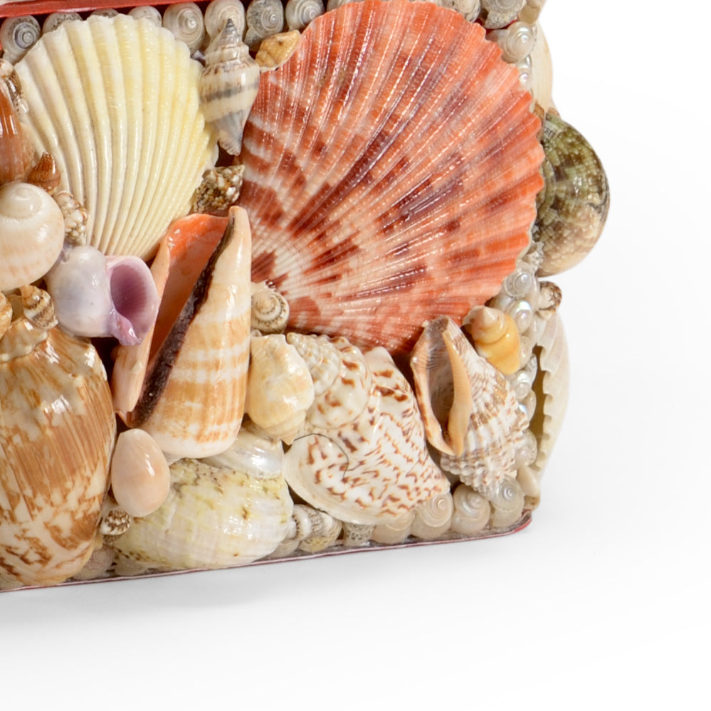 Chelsea Shell Chelsea House Large Shell Box – Design Shop By Shell
