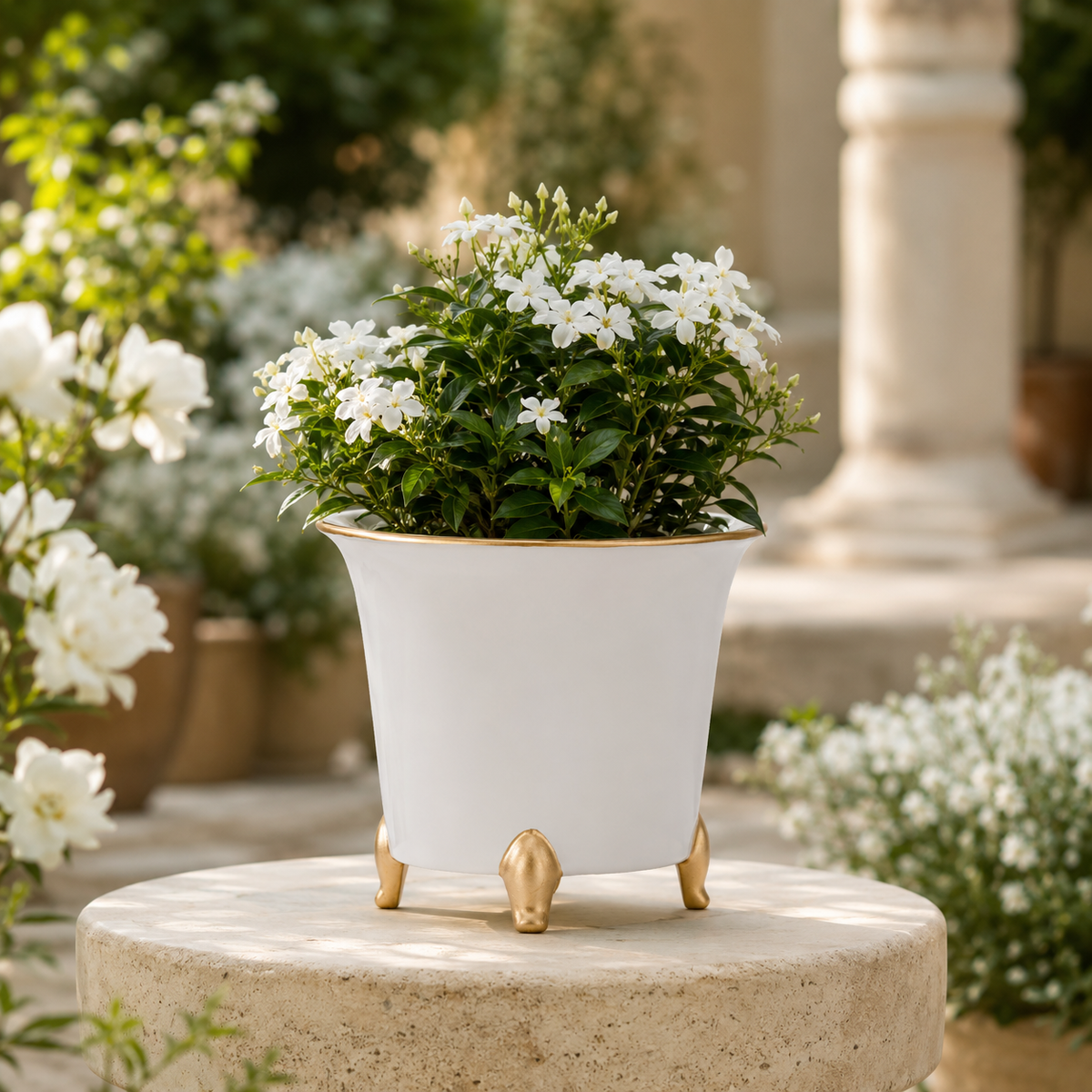 Design Shop White and Gold Ceramic Cachepot Large 7.5"