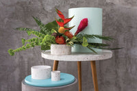 Design Shop White Terrazzo Collection Pot, 4.5" X 4.5", Set of 2.