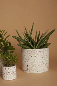 Design Shop White Terrazzo Collection Pot, 7.25" X 6"