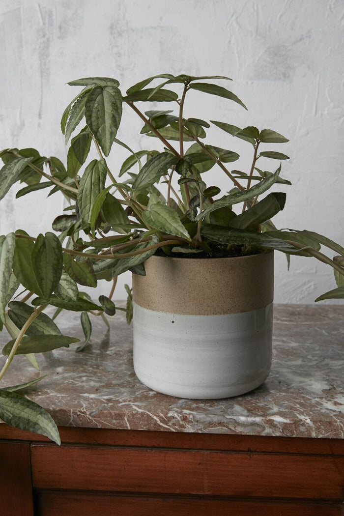 Design Shop Off-White Rooney Pot, 6.75" X 6.5".