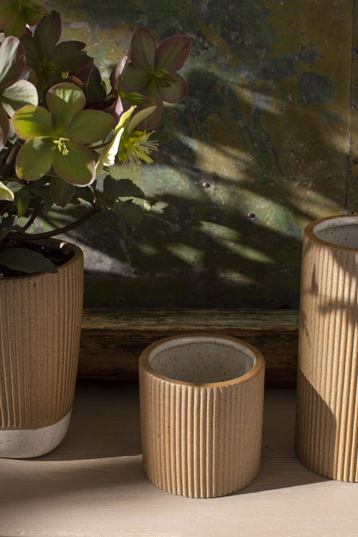 Design Shop Tan Morrigan Collection Pot, 4" X 4.25", Set of 2.