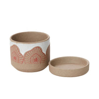 Design Shop White Protea Pot, 3.5" X 3.5", Set of 2.