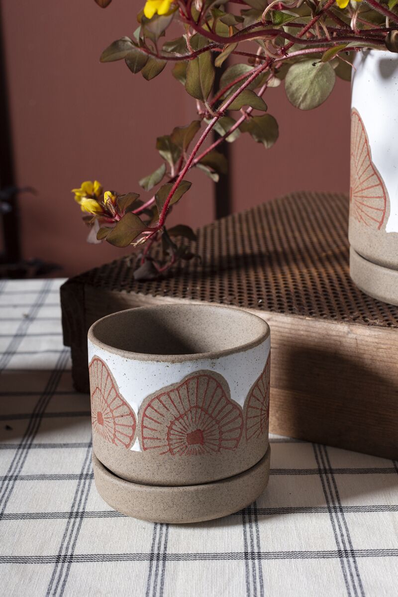 Design Shop White Protea Pot, 3.5" X 3.5", Set of 2.