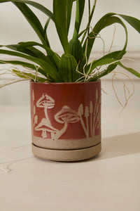 Design Shop Red Scavenger Pot, 5" X 5.5".