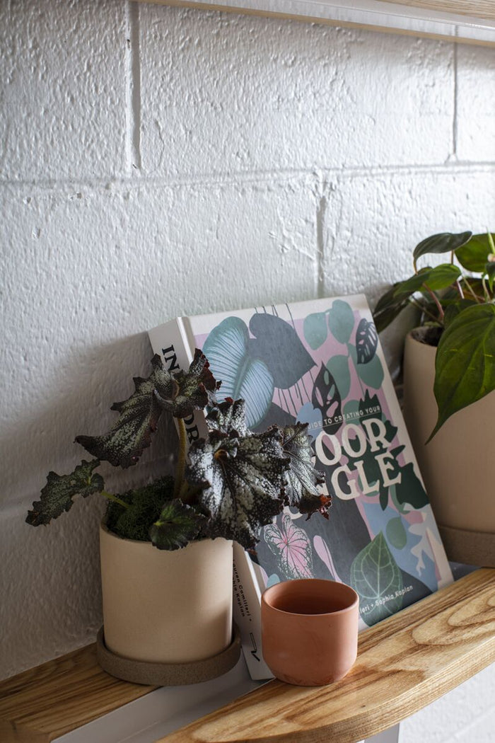 Design Shop Terracotta Kendall Terracotta Pot Pot, 2.5" X 2", Set of 12.