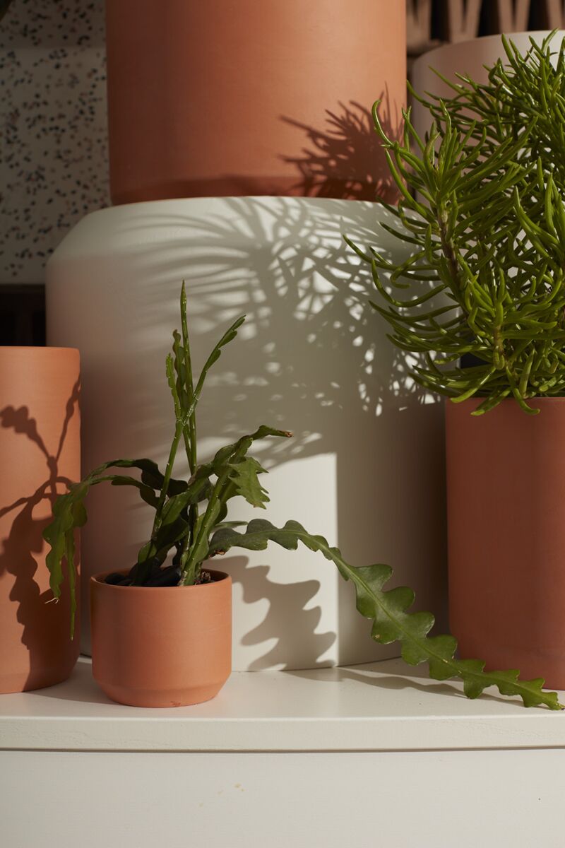 Design Shop Terracotta Kendall Terracotta Pot Pot, 3.25" X 2.75", Set of 6.