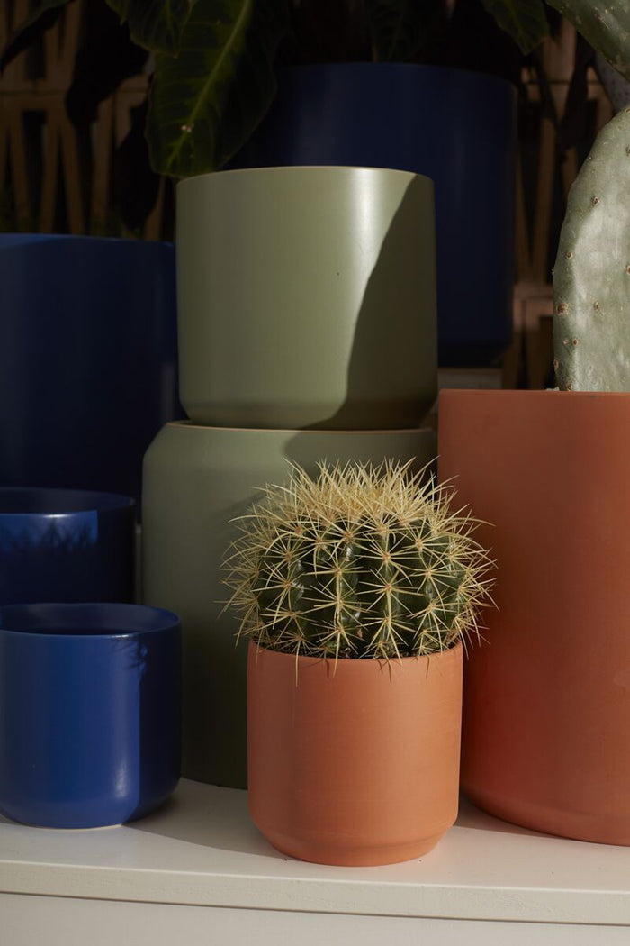 Design Shop Terracotta Kendall Terracotta Pot Pot, 4.75" X 4.5", Set of 4.