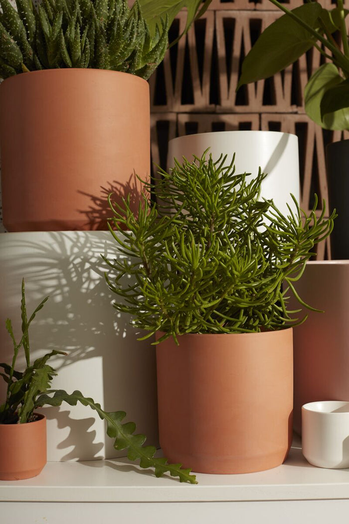 Design Shop Terracotta Pot, 7" X 6.75".