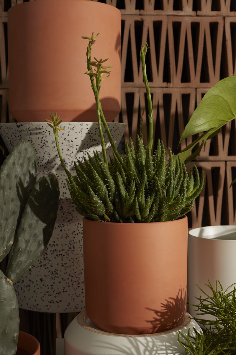 Design Shop Terracotta Pot, 8.5" X 9".