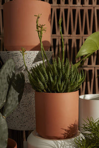 Design Shop Terracotta Pot, 8.5" X 9".