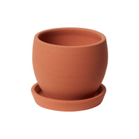 Design Shop Baden Pot with Saucer 5.5"x 5", Set of 2