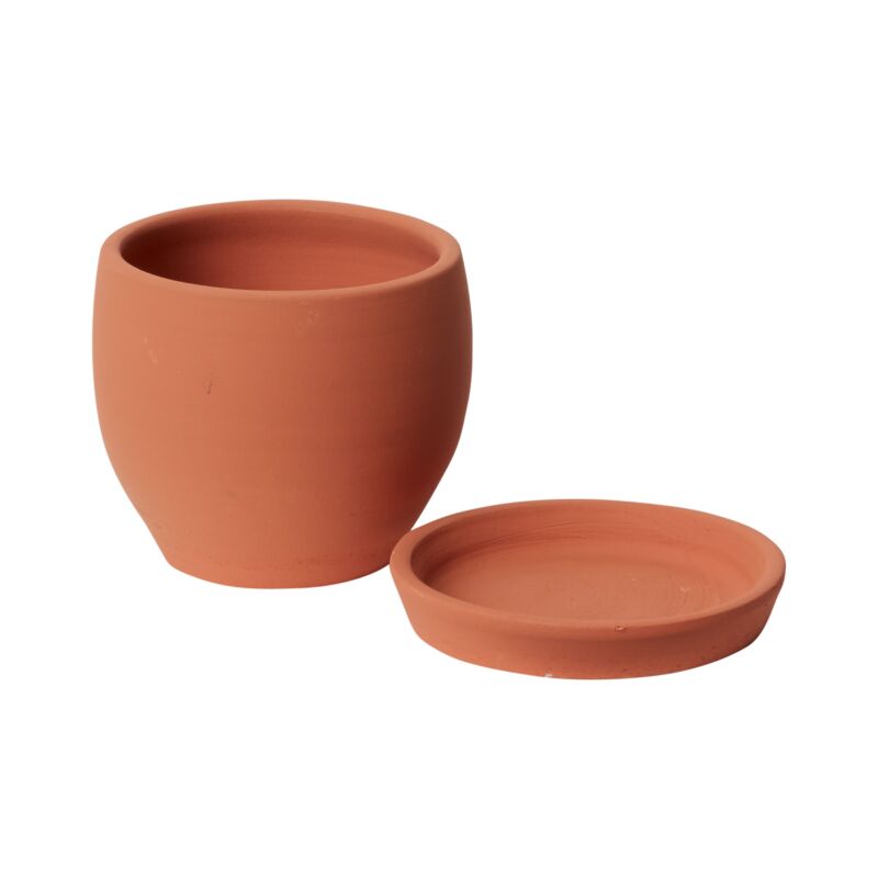 Design Shop Baden Pot with Saucer 5.5"x 5", Set of 2