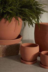 Design Shop Baden Pot with Saucer 7.25"x 6.75"