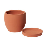 Design Shop Baden Pot with Saucer 7.25"x 6.75"