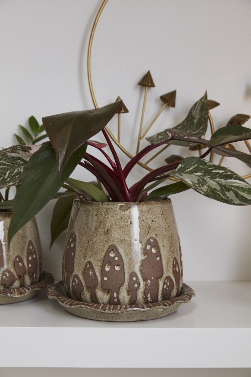 Design Shop Brown Wild Mushroom Pot with Saucer, 7.75" X 6".