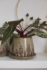 Design Shop Brown Wild Mushroom Pot with Saucer, 7.75" X 6".