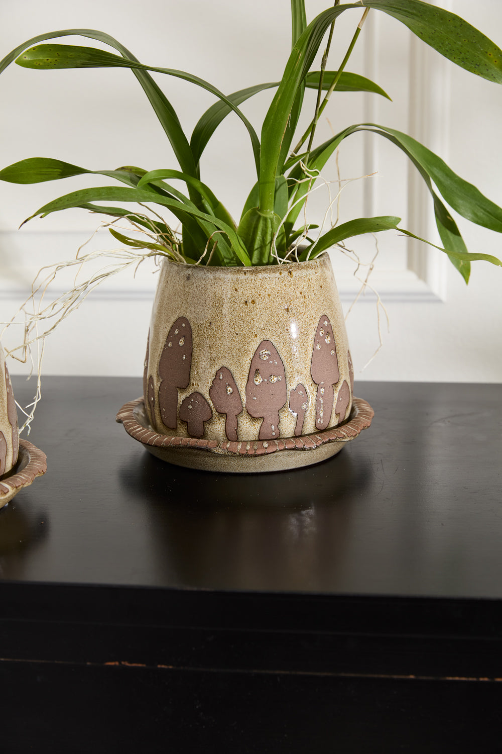 Design Shop Brown Wild Mushroom Pot with Saucer, 7.75" X 6".
