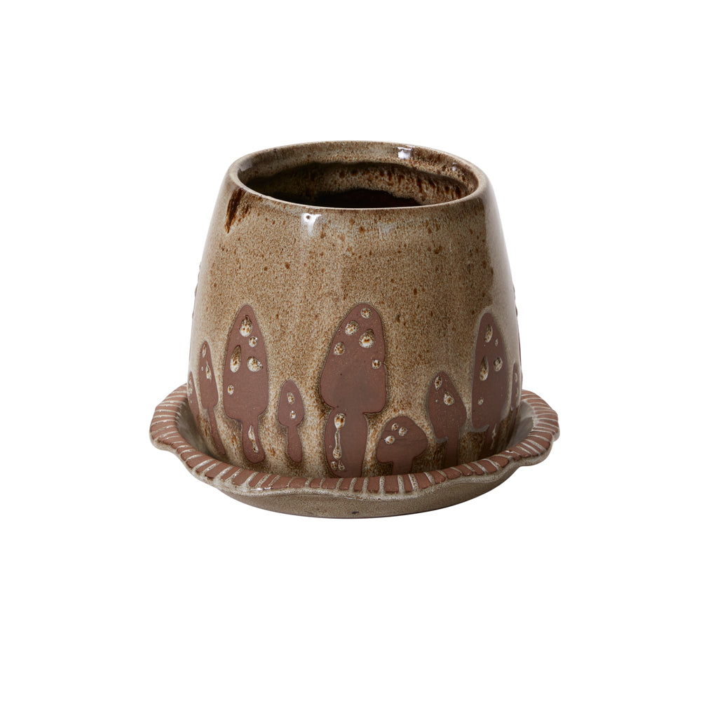 Design Shop Brown Wild Mushroom Pot with Saucer, 7.75" X 6".