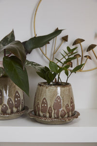 Design Shop Brown Wild Mushroom Pot with Saucer, 7" X 4.75".