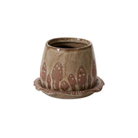 Design Shop Brown Wild Mushroom Pot with Saucer, 7" X 4.75".