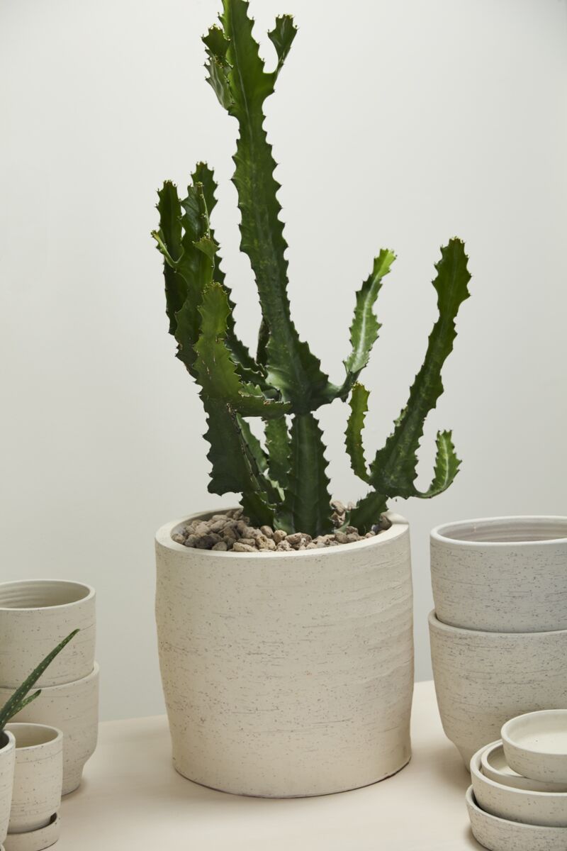 Design Shop Salvage Pot 16"x 16"