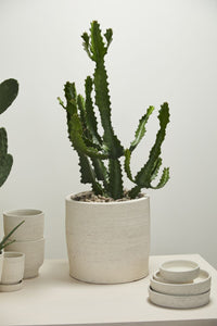 Design Shop Salvage Pot 16"x 16"