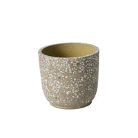 Design Shop Verde Pot 5.5"x 5", Set of 2