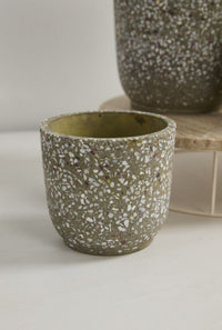 Design Shop Verde Pot 5.5"x 5", Set of 2