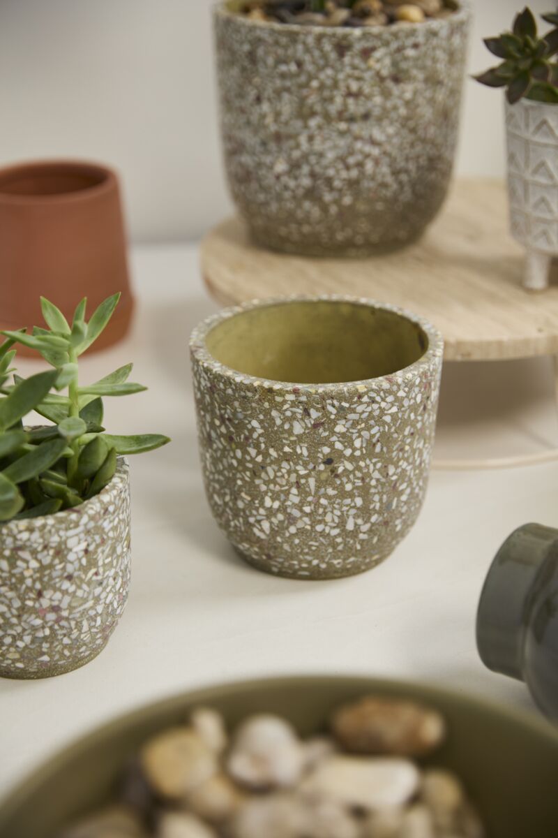 Design Shop Verde Pot 5.5"x 5", Set of 2
