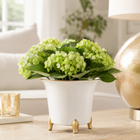 Design Shop White and Gold Ceramic Cachepot Large 7.5"