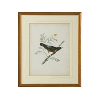 Chelsea House Delicate Birds III