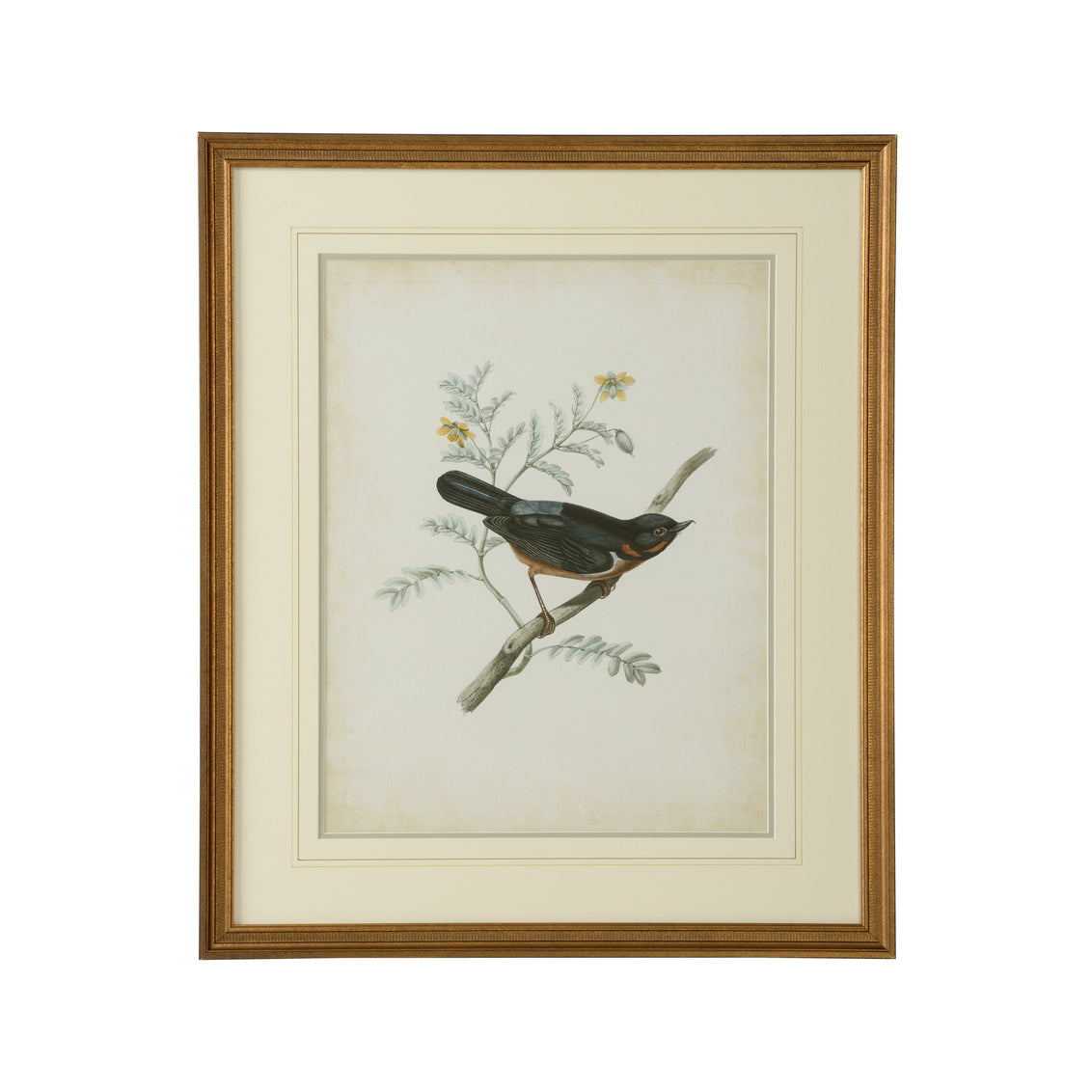 Chelsea House Delicate Birds III