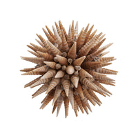 Chelsea House Marlin Shell Ball (Lg)