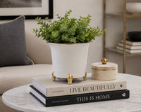 Design Shop White and Gold Ceramic Cachepot Large 7.5"