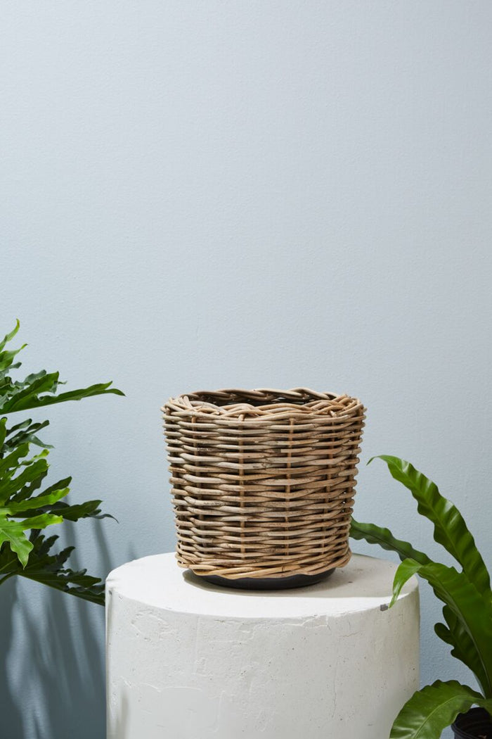 Design Shop Natural Rattan Basket, 13.25" X 11.75".