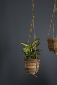 Design Shop Natural Lomita Hanging Pot, 7.75" X 35".