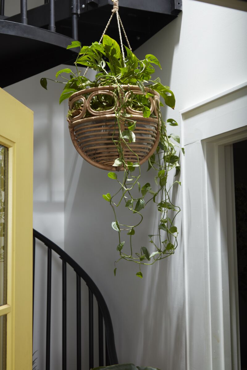 Design Shop Natural Ordesa Hanging Basket, 13.75" X 28".